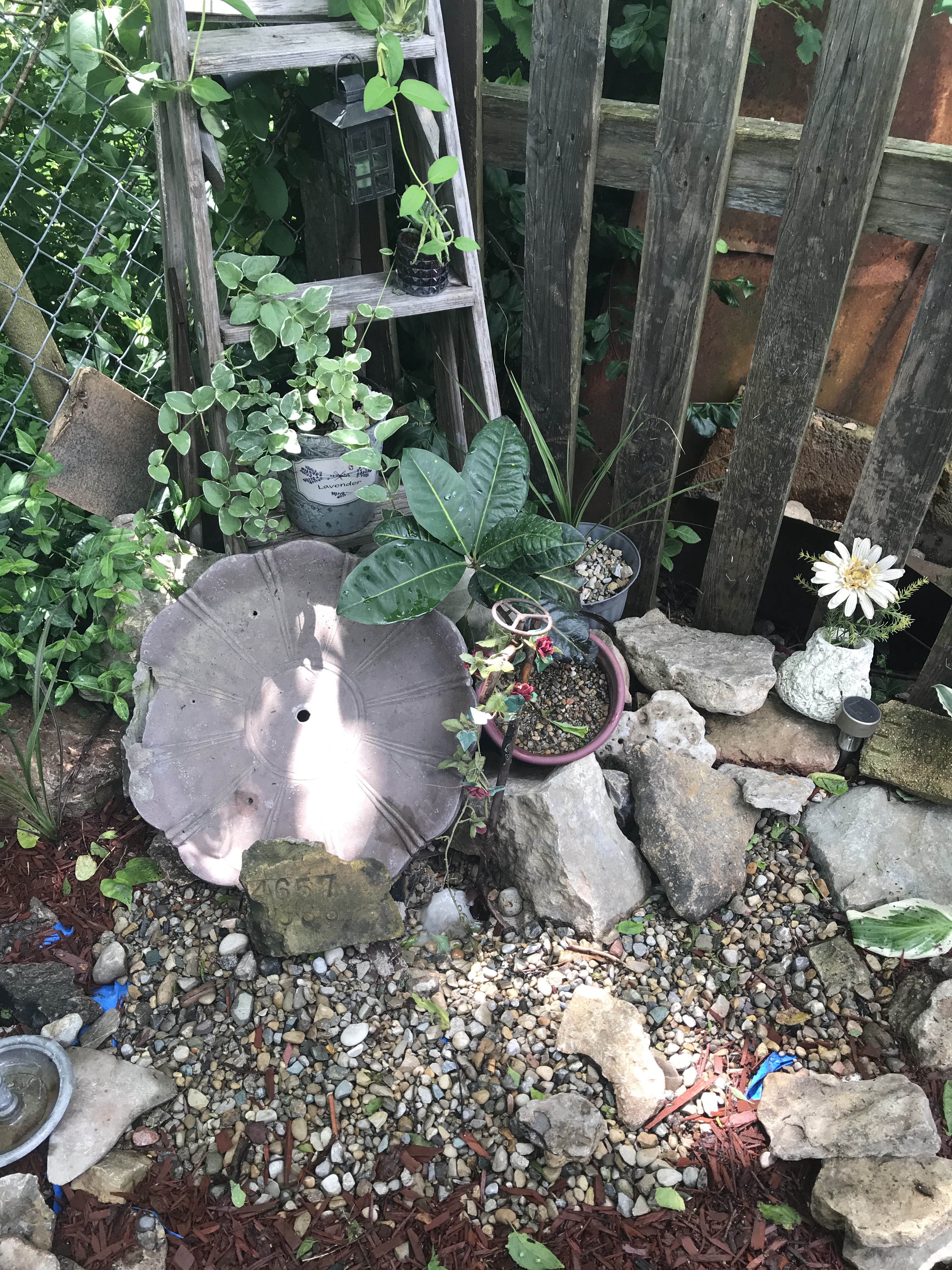 Back Yard Water Displays