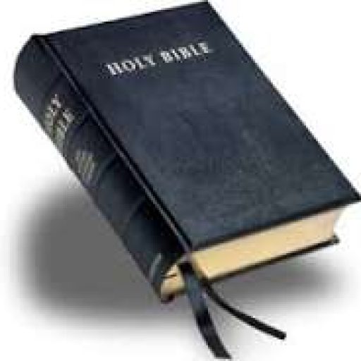Has anyone ever really read the Bible?